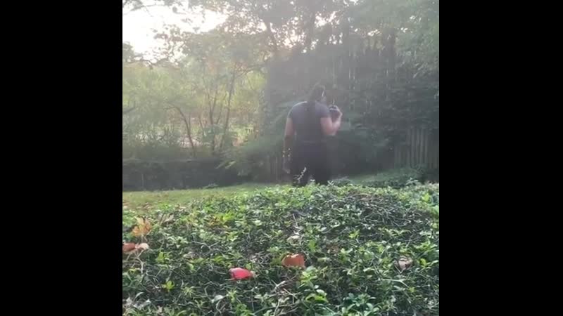 Посетительница зоопарка в нью йорке залезла в клетку ко льву