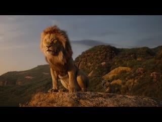 Премьера клипа! beyoncé (beyonce) – spirit from disney’s the lion king