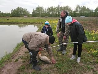 Video by sergey yazykov