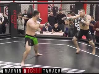 Асхаб тамаев vs филипп марвин полный бой по правилам mma дневник хача