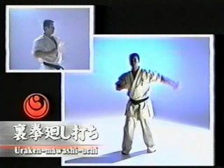 Shinkyokushinkai video 1