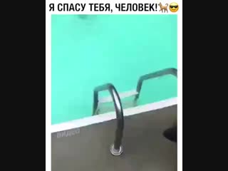 Лежи не дергайся