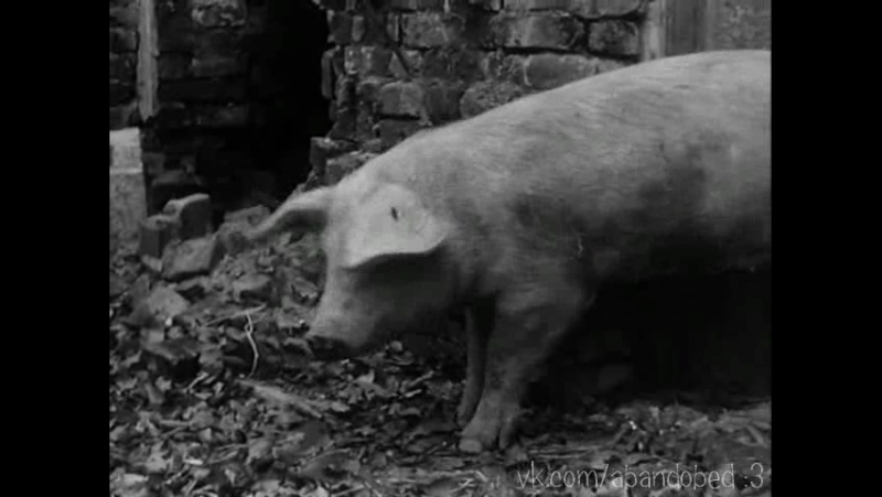 Свадебная ваза vase de noces (1975) /abandobed