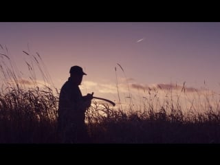 Maudie trailer #1 (2017) ¦ liberi kiev