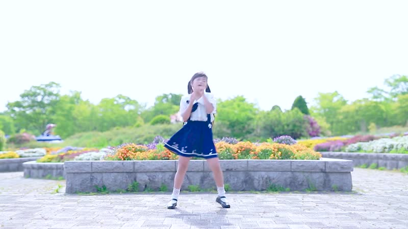 Idol declaration