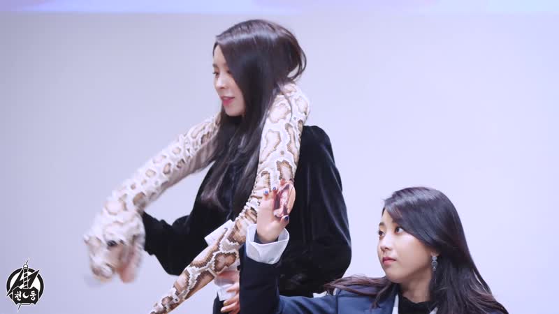 190202 씨엘씨 엘키 직캠[4k60p] 팬사인회 영상 no 1 clc elkie fancam @상암팬사인회 kbs미디어센터 by 천둥