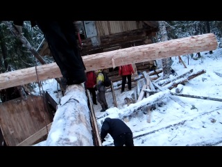 На улице гороховой ажиотаж!