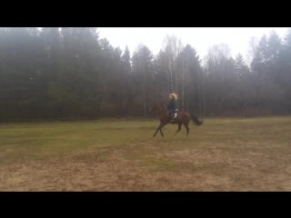 Trim 20151029 201222