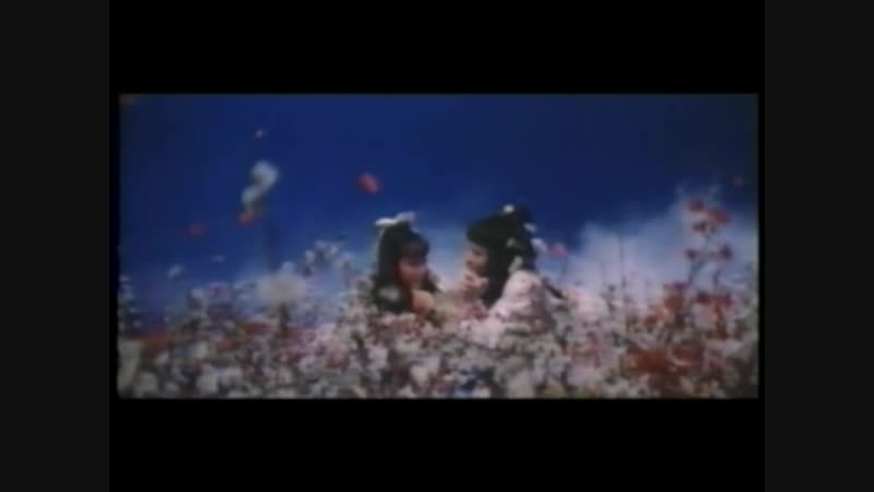 1982 сожжение храма красного лотоса / xin huo shao hong lian