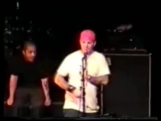 Limp bizkit fuck placebo