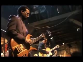 Maceo parker shake everything you've got