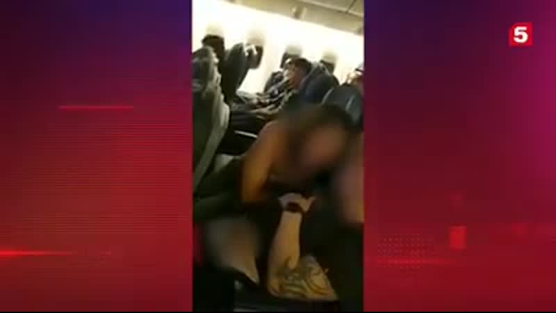 Любовные утехи в самолёте москва владивосток