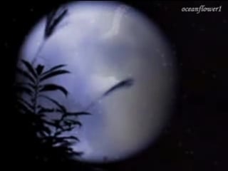 Marc enfroy "moonlit dreams"