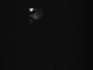 Arsenic and old lace (1944)