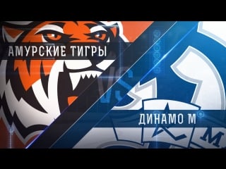 Live! «амурские тигры» «динамо» м ( – 1200)