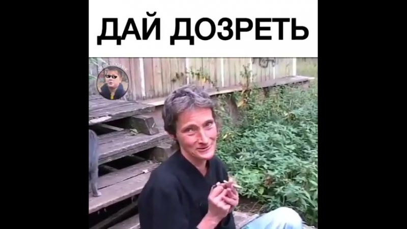 Дай дозреть конопля
