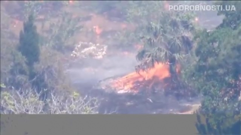 Во флориде бушуют лесные пожары