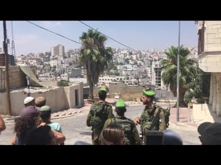 Last week, a group of jews went to hebron in the west bank with breaking the silence