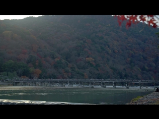 Arashiyama lightup 4k time lapse