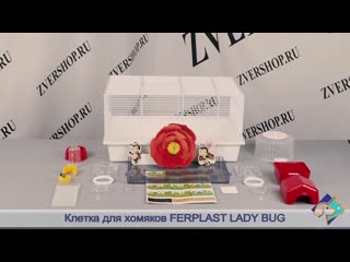 Клетка для хомяков ferplast lady bug