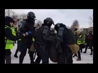 Революция желтых жилетов в санкт петербурге