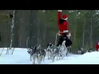 Bam margera presents where the fuck is santa