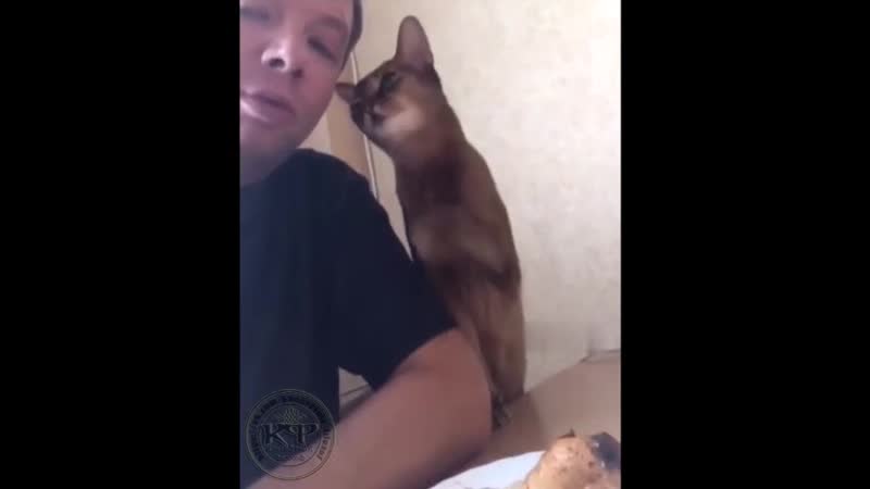 Женские улои