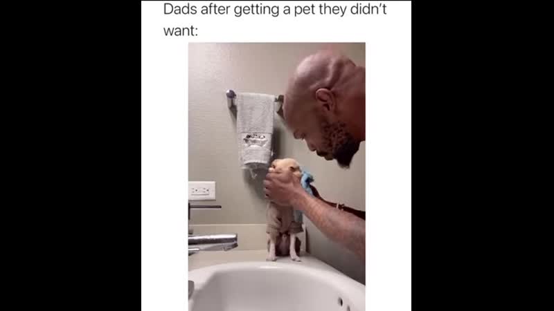 Папа я не хочу молодые/папа после покупки секс