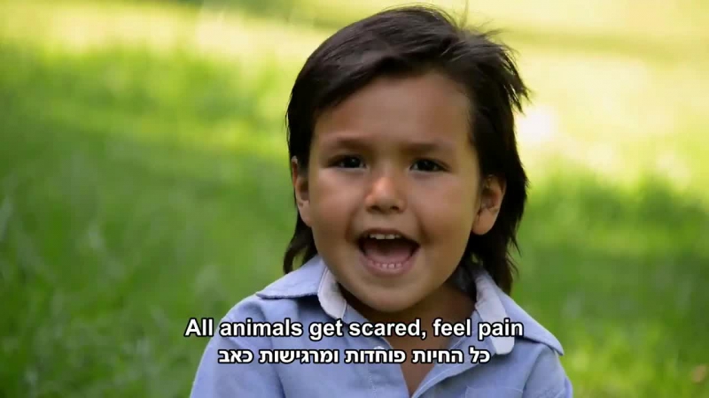 Какие чудесные умные молодые, а все потому что веганы ♥