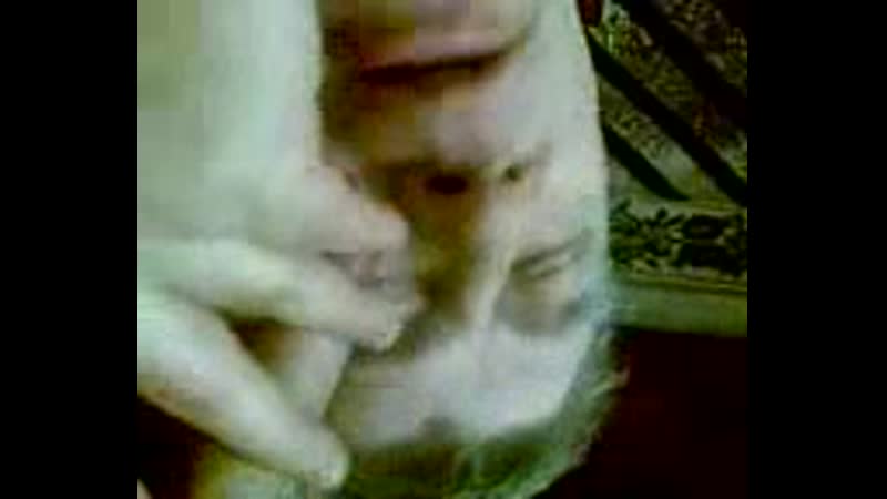 Белорус вова сосёт