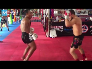 Muay thai monster saenchai muscle madness