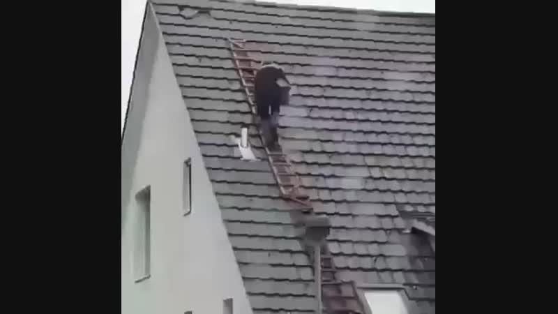 Аварии на стройке улетели с лестницы выбирайте только профессионалов в строите