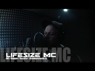 Lifesize mc quick dnb freestyle