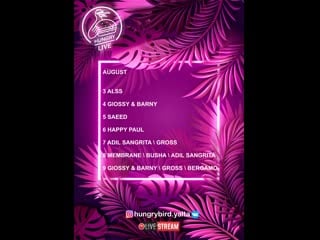 Hungry live adil sangrita / gross