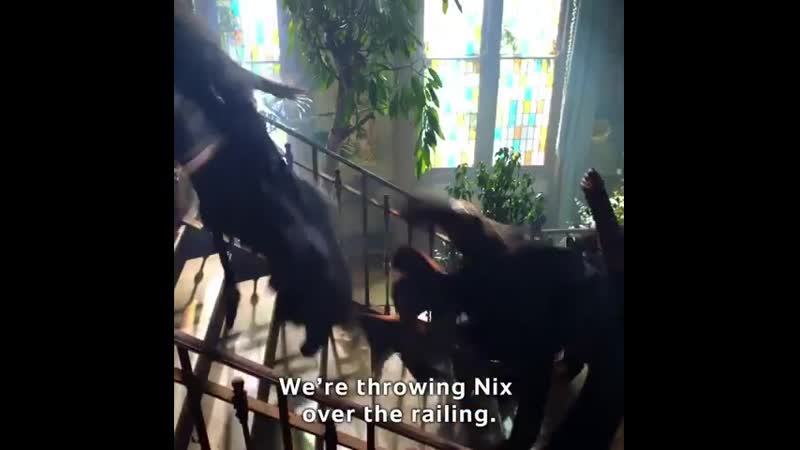 Элли рэй смит о 3х15