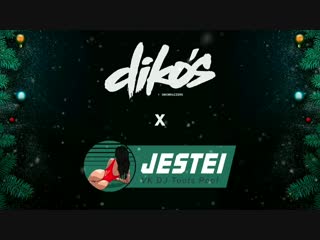 Jestei pool dikos new year edit 🎄