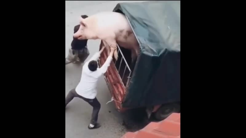 Валки позорные!