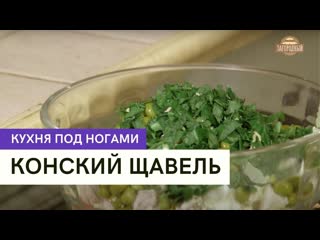 Конский щавель \ кухня под ногами