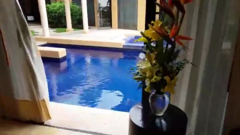 Армина, которая почетный консул которая не дала позвонить алекстайму своему адвокату