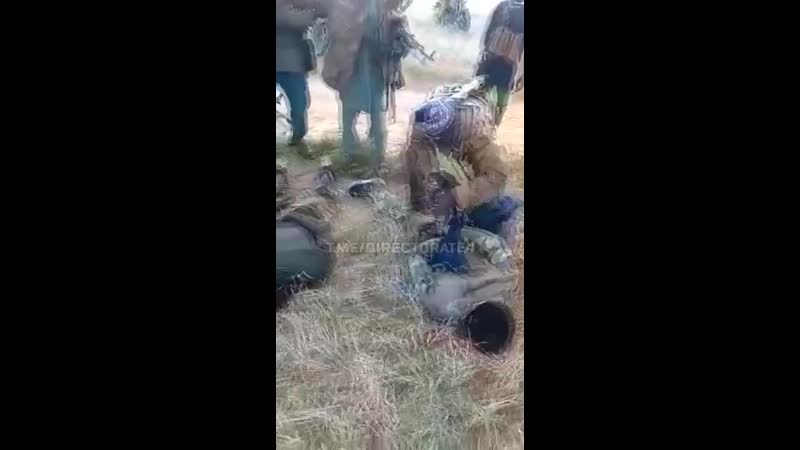 Пленные военнослужащие армии нигера