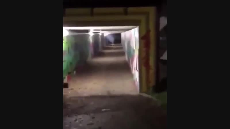Quickly porn video – That escalated quickly