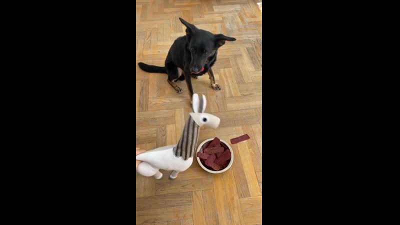 Наглядный пример