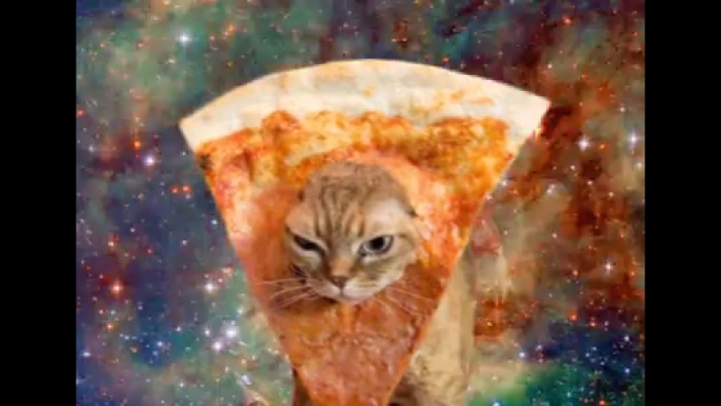 Ummet ozcan spacecats [preview video teaser]