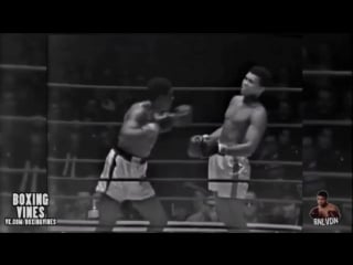 Young, handsome, fast, pretty and cant possibly be beat by bnlvdn