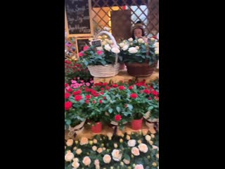 Shumakova masha 54204233 650420345361395 8235202236558849039 n