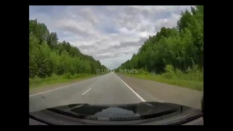 Ушел от лося свердловск