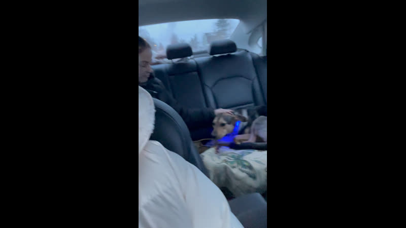 Пенка в машине