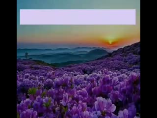 Vid 20200915 150030 260 mp4