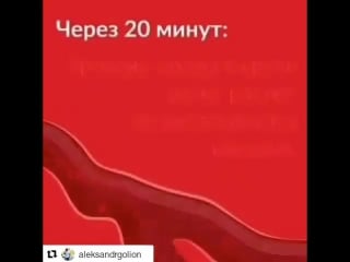 Позновательное видео 🤗#repost @aleksandrgolion (@g москва