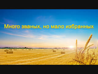 Восточная молния |слово всемогущего бога «много званых, но мало избранных»